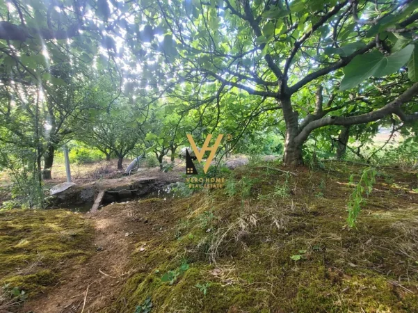 Tirane, jepet me qera toke , 4.000 m²  1.100 EURO (TAPIZE)