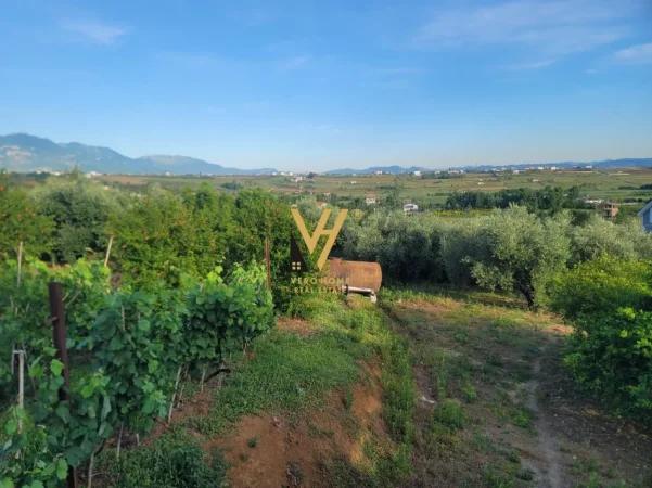 Tirane, jepet me qera toke , 4.000 m²  1.100 EURO (TAPIZE)