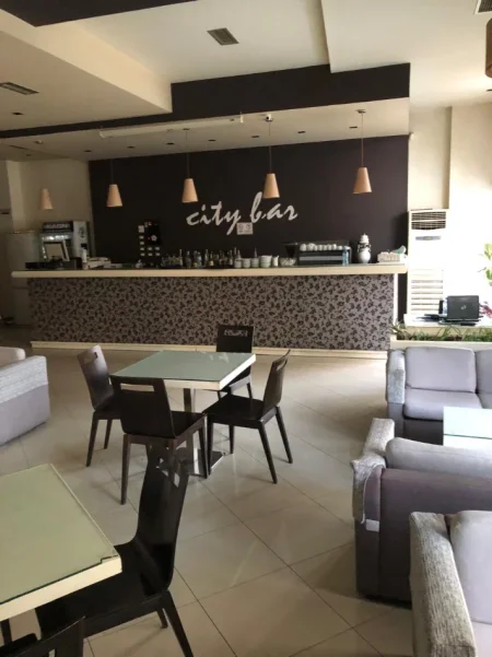 Elbasan, shitet ambjent biznesi Kati 0, 158 m² 250.000 € (Rr. Janaq Kilica, Lagja Visarion Xhuvani)