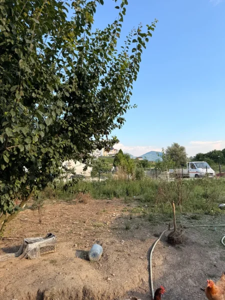 Tirane, jepet me qera magazine Kati 1, 650 m² 