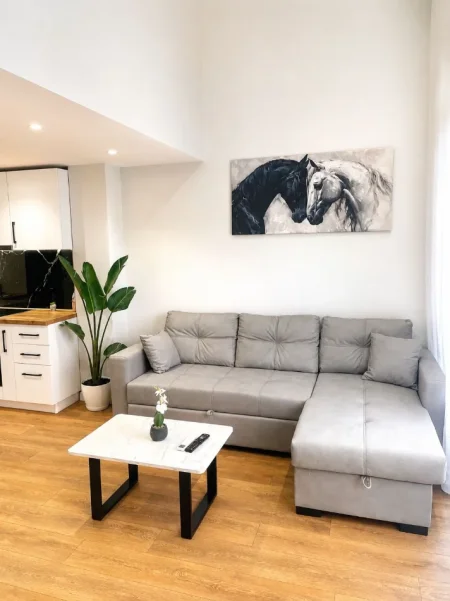 Tirane, shitet apartament 1+1+Ballkon Kati 0, 66 m² 128.000 € (Liqeni i Thatë)