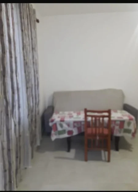 Tirane, jepet me qera apartament 1+1 Kati 1, 55 m² 270 € (Allias)