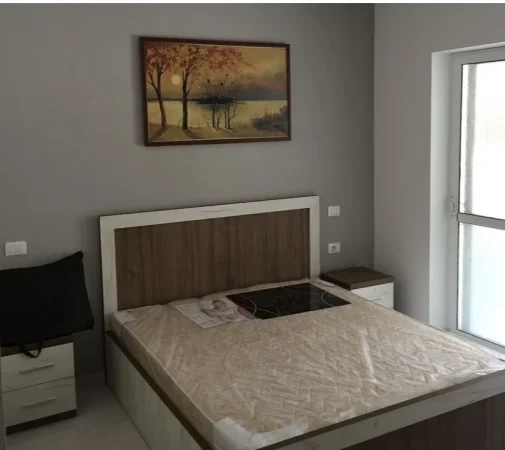 Tirane, jepet me qera apartament 1+1 Kati 0, 40 m² (rruga Fortuzi)