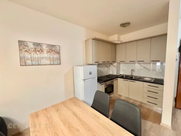 Tirane, jepet me qera apartament 1+1 Kati 2, 75 m² 650 € (Kopshti Zoologjik Metropol143849)
