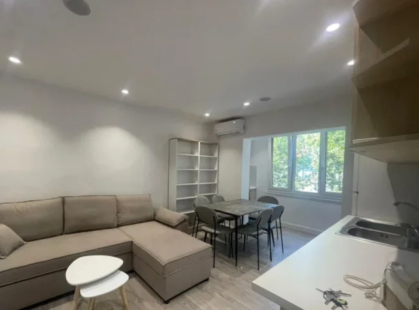 Tirane, jepet me qera apartament 1+1 Kati 4, 55 m² 550 € (Harry Fultz)