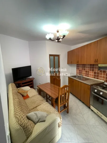 Tirane, jepet me qera apartament 1+1 Kati 1, 47 m² 300 € (Komuna E Parisit)