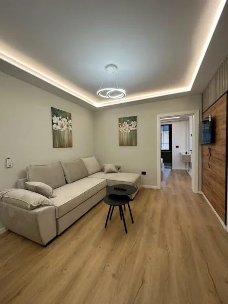 Tirane, jepet me qera nga Pronari, pa-komision apartament 1+1+Ballkon Kati 1, 58 m² 500 € (Rruga Riza Cerova)