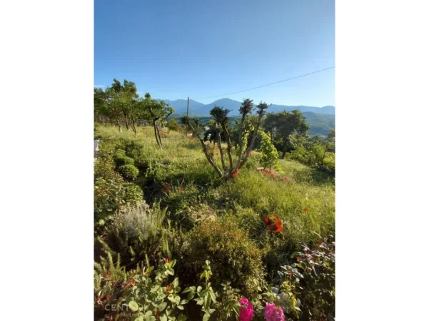 Tirane, jepet me qera Vile Vile 1 Katshe Kati 1, 80.080 m² 1.200 € (Berzhite)