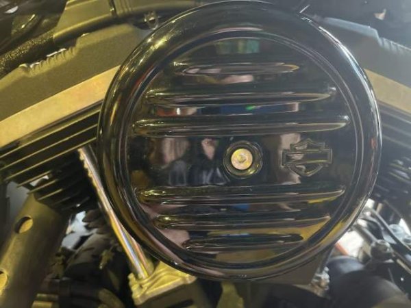 Durres, shes Chopper Harley-Davidson IRON 883 Viti 2020, 12.700 Euro