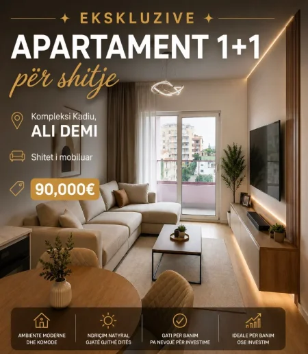 Tirane, shitet apartament 1+1+Aneks+Ballkon Kati 9, 51 m² 90.000 € (rruga ali demi)