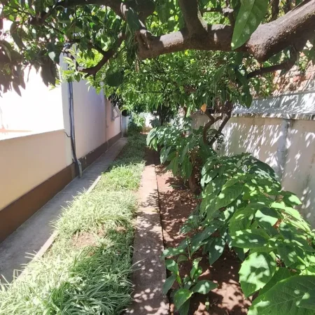 Tirane, shitet apartament 2+1+Aneks+Ballkon Kati 1, 330 m² (21 dhjetori)