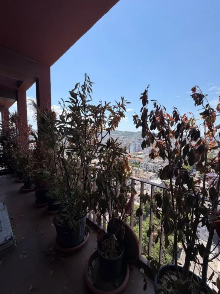 Tirane, jepet me qera apartament 2+1+Ballkon , 160 m² 2.500 € (Garden Building)