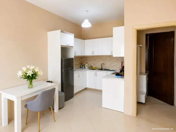 Tirane, jepet me qera apartament 1+1+Ballkon Kati 9, 60 m² 440 € (Agim Qarri)