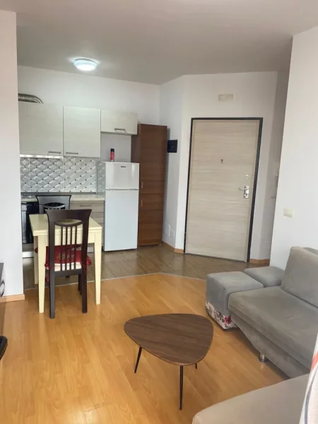 Tirane, jepet me qera apartament 1+1 Kati 6, 55 m² 500 € (Xhamllik)