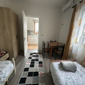 Tirane, jepet me qera Vile 1+1 Kati 2, 40 m² 450 € (rruga at zef pellumbi)