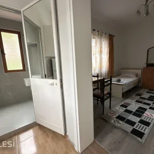 Tirane, jepet me qera Vile 1+1 Kati 2, 40 m² 450 € (rruga at zef pellumbi)