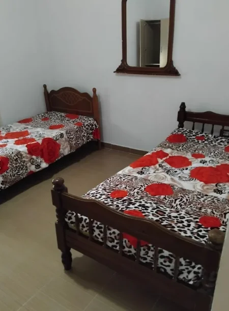 Tirane, jepet me qera apartament 1+1 Kati 2, 55 m² 300 € (Jordan Misja)