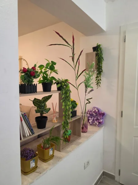 Tirane, jepet me qera apartament 2+1 Kati 1, 600 € ( i diskutueshem ) (Rruga e Durrësit, tek Hotel Colosseo)