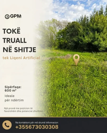 Truall në shitje tek Liqeni Artificial.