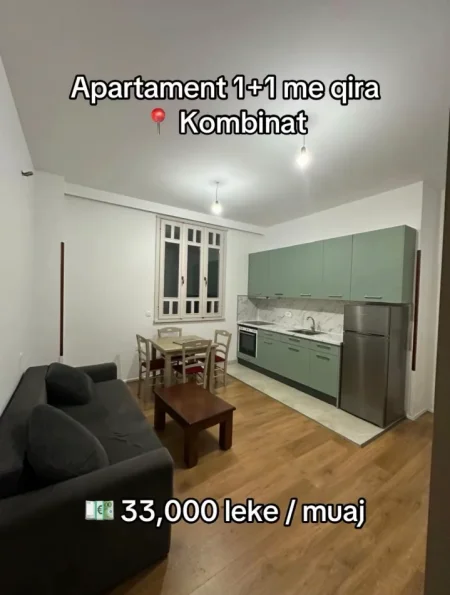 Tirane, jepet me qera apartament 1+1 Kati 2, 330 € (Kombinat)