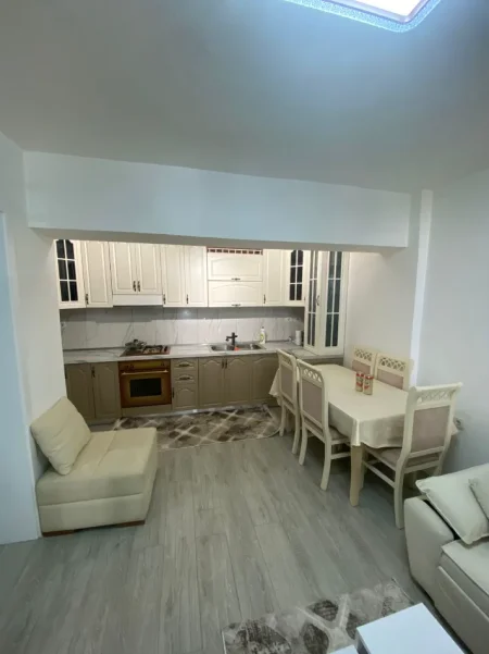Tirane, jepet me qera apartament 2+1+Aneks+Ballkon Kati 1, 60 m² 550 € (rruga e durresit)
