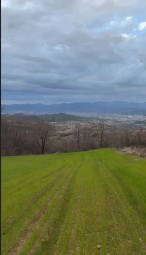Elbasan, shitet truall , 3.470 m² 150.000 € (Shelcan)