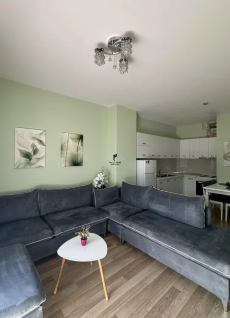 Tirane, jepet me qera apartament 1+1 Kati 3, 70 m² 700 € (QENDER)