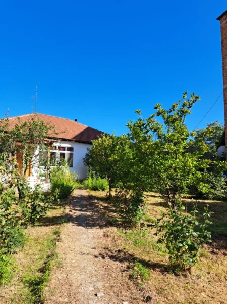 Tirane, jepet me qera shtepi 1+1+Aneks Kati 0, 70 m² 550 € (Mihal Grameno)