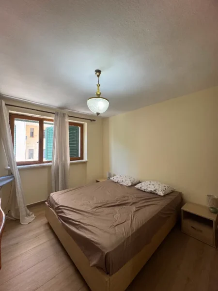 Tirane, jepet me qera apartament 1+1 Kati 2, 65 m² 500 € (Mozaiku)