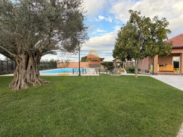 Durres, shitet Vile Vile 1 Katshe , (xhafzotaj)