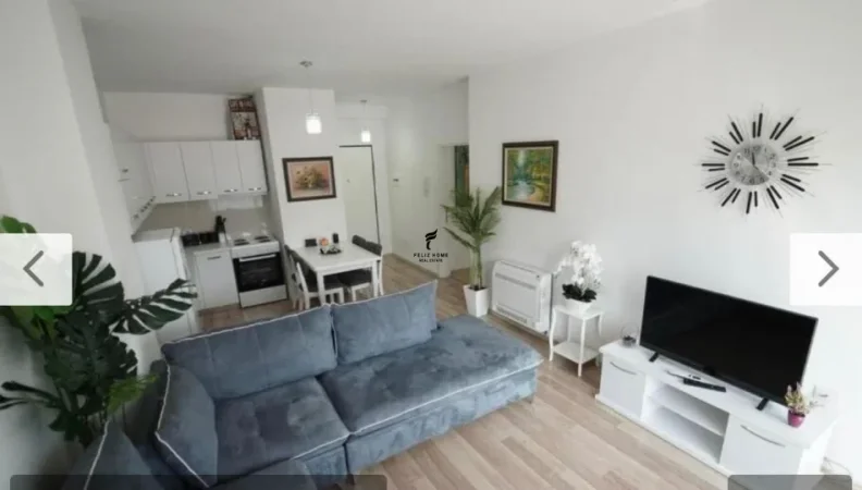 Tirane, jepet me qera apartament 1+1 Kati 1, 70 m² 700 € (QENDER)