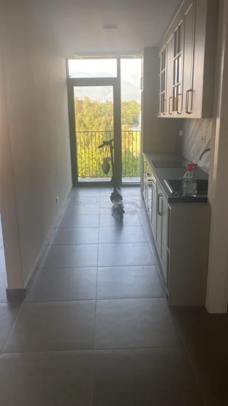 Tirane, jepet me qera zyre Kati 4, 110 m² 2.000 € (LIQENI ARTIFICIAL)