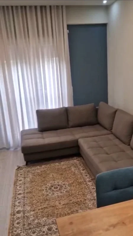 Tirane, jepet me qera apartament 1+1+Ballkon Kati 1, 65 m² 650 € (Rruga e Barrikadave)