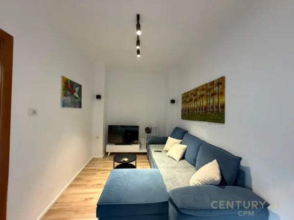 Tirane, jepet me qera apartament 1+1 Kati 1, 50 m² 450 € (rruga e dibres)