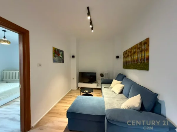 Tirane, jepet me qera apartament 1+1 Kati 1, 50 m² 450 € (rruga e dibres)
