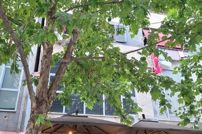 Tirane, jepet me qera Kati 1, 120 m² 1.001 € (Astir Vila L)