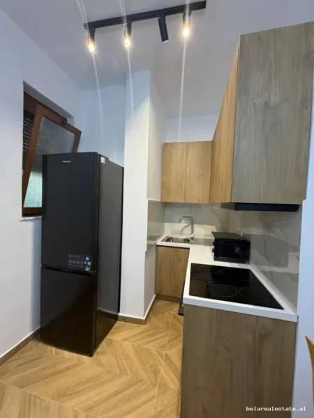 Tirane, jepet me qera Vile 1+1 Kati 1, 60 m² 469 € (Dhimiter Pasko)