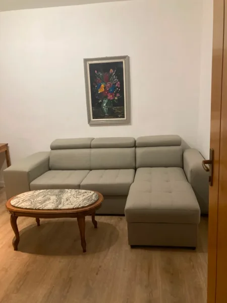 Tirane, jepet me qera apartament 1+1 Kati 4, 50 m² 500 € (Myslym Shyr prane Somegut)