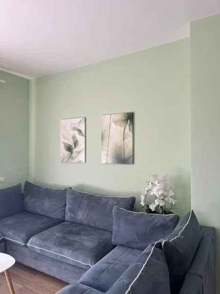 Tirane, jepet me qera apartament 1+1 Kati 1, 70 m² 700 € (Rruga Jeronim de Rada, perballe Toptanit)