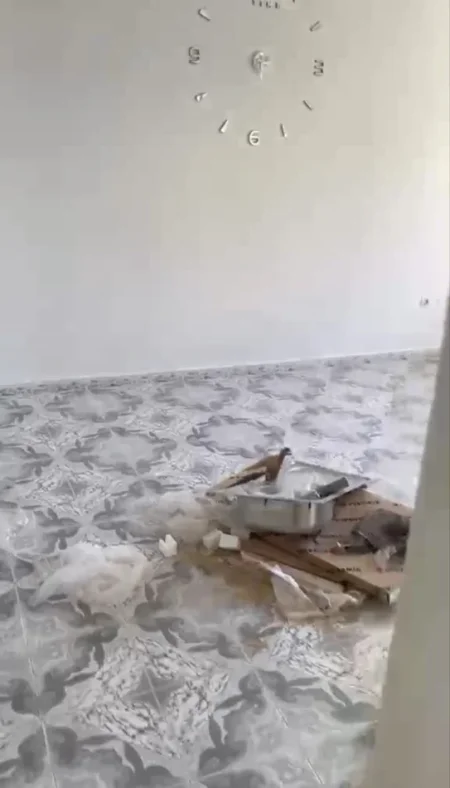 Tirane, jepet me qera apartament 2+1 Kati 3, 70 m² 350 € (Rruga Njazi Meka)