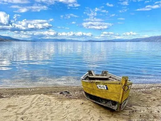 SHITET TOKE NE POGRADEC BUZE LIQENIT  3.000 m²