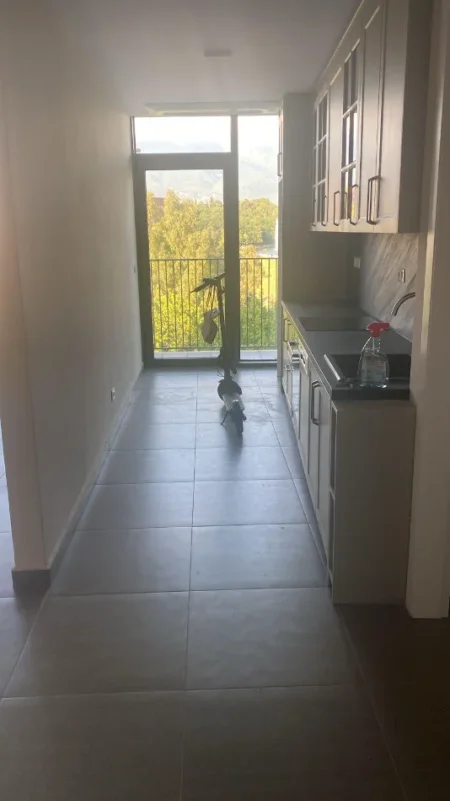 Tirane, jepet me qera , 131 m² 2.000 € (Liqeni Artificial)