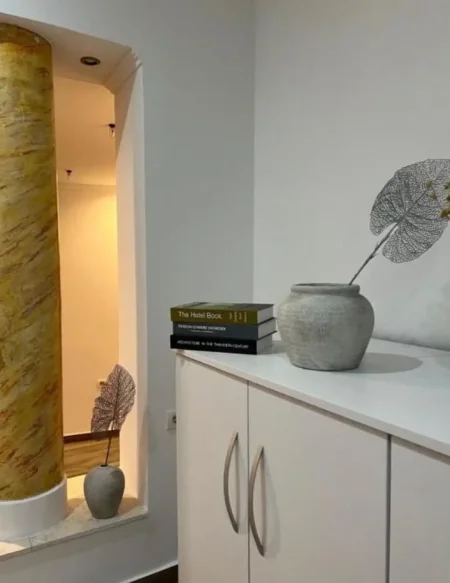 Tirane, jepet me qera apartament 2+1 Kati 1, 80 m² 550 € (RRUGA E ELBASANIT)