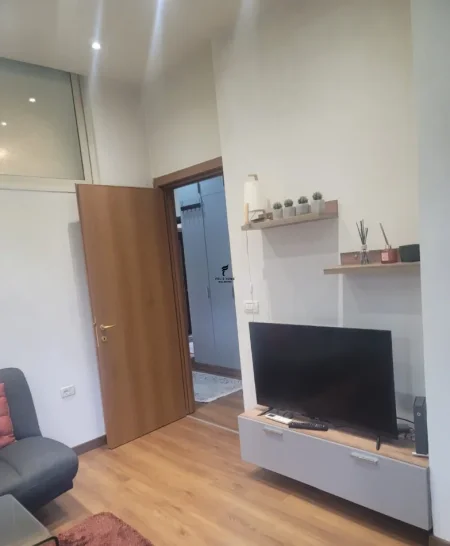 Tirane, jepet me qera apartament 1+1 Kati 1, 60 m² 600 € (9 KATESHET)