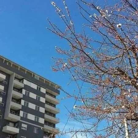 Vlore, jap me qera per plazhista apartament 1+1+Ballkon Kati 1, 78 m² 50 € (Rruga Cameria, Vlore, Lungomare)