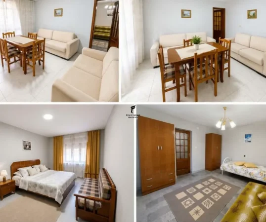Tirane, jepet me qera apartament 2+1 Kati 1, 90 m² 500 € (ALI DEMI)
