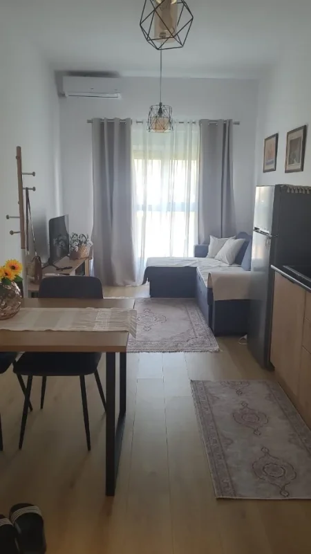 Tirane, jepet me qera apartament 1+1+Ballkon Kati 5, 30 m² 400 € (Ali Demi)