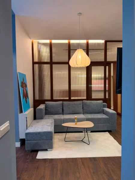 Tirane, jepet me qera apartament 1+1 , (Qender, 9Kateshet)