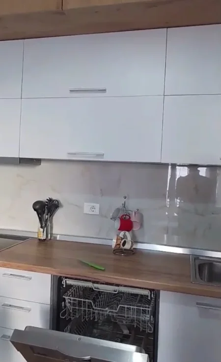 Tirane, jepet me qera apartament 1+1+Ballkon Kati 5, 66 m² 600 € (ISH PARKU)