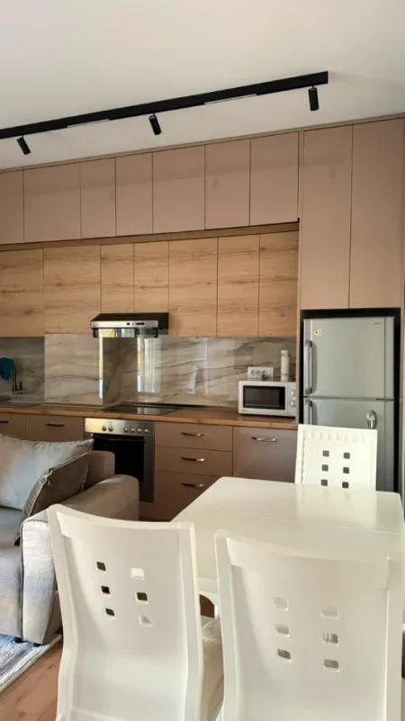 Tirane, jepet me qera apartament 1+1 Kati 5, 500 € (Ali Demi)